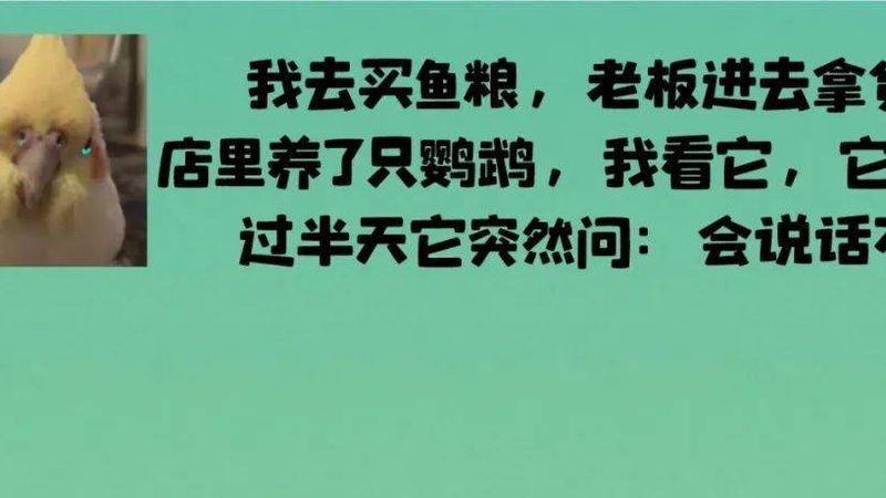 速冻食品小本创业，揭秘成功背后的关键要素