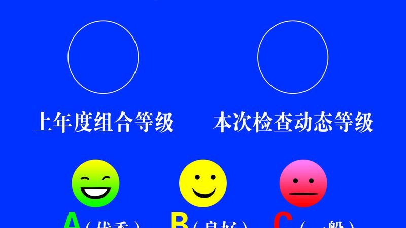 出口级蜜饯果干：材质与分类的严格标准**