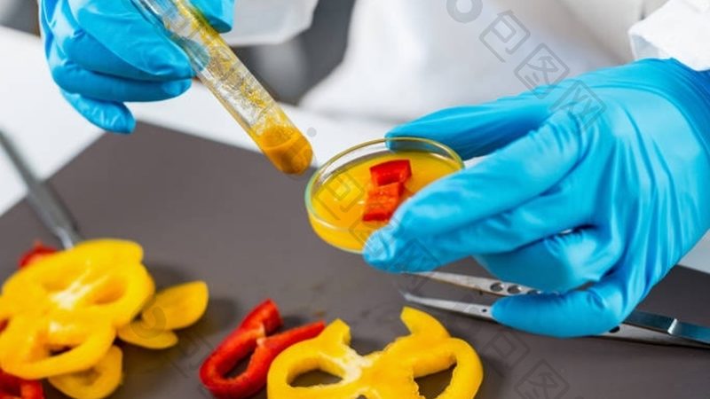 速冻食品配送：价格背后的考量因素